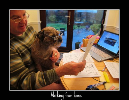 5352218012_0ea1a96c1d