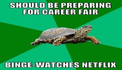 turtle career fair meme